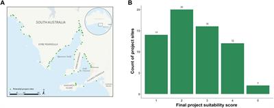 Seas the opportunity: multi-criteria decision analysis to identify and prioritise blue carbon wetland restoration sites